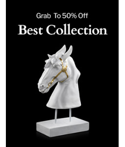 Best collection